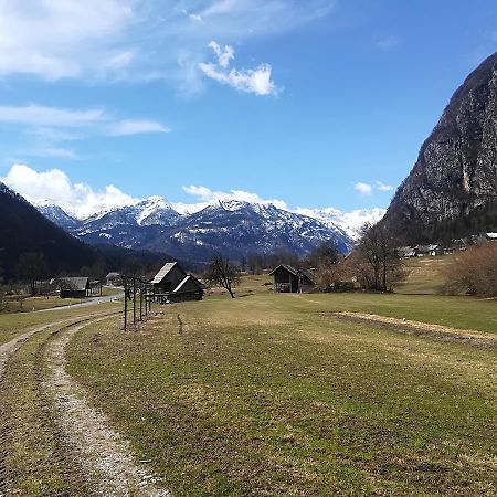 Apartments & Rooms Stare Bohinj Esterno foto
