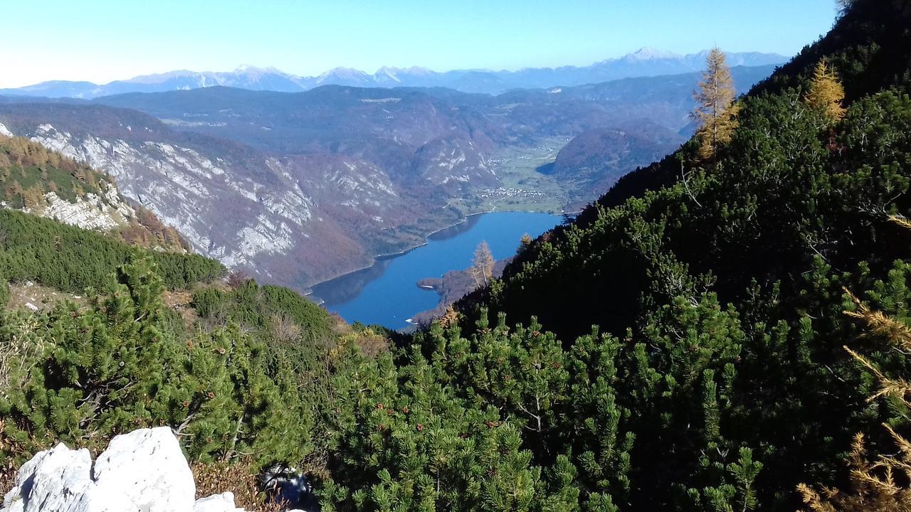 Apartments & Rooms Stare Bohinj Esterno foto